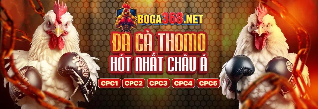 Trải nghiệm Casino trực tuyến 365ball link mới
